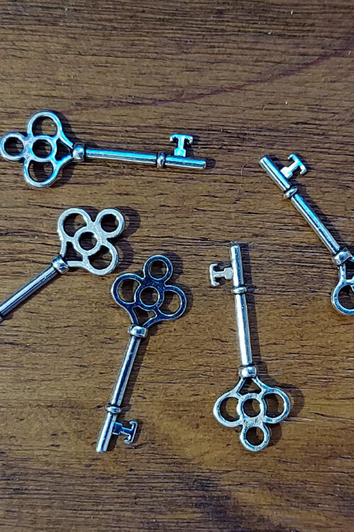 Skeleton Key Charms