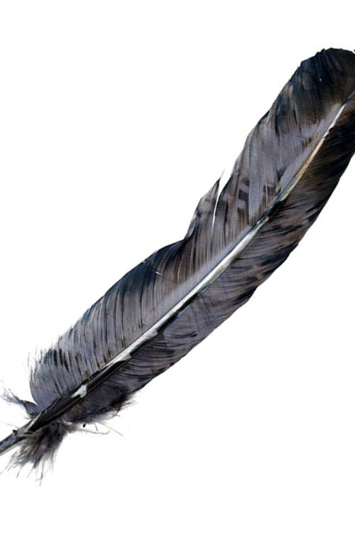 Smokey Gray Feather 10-12″