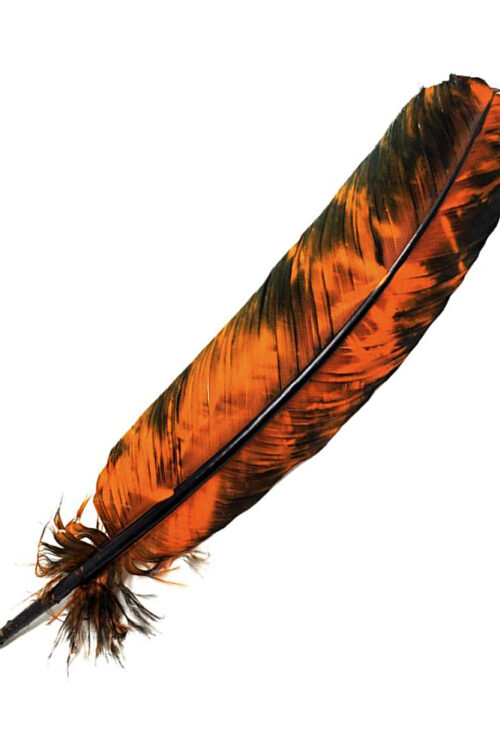 Smokey Orange Feather 10-12″