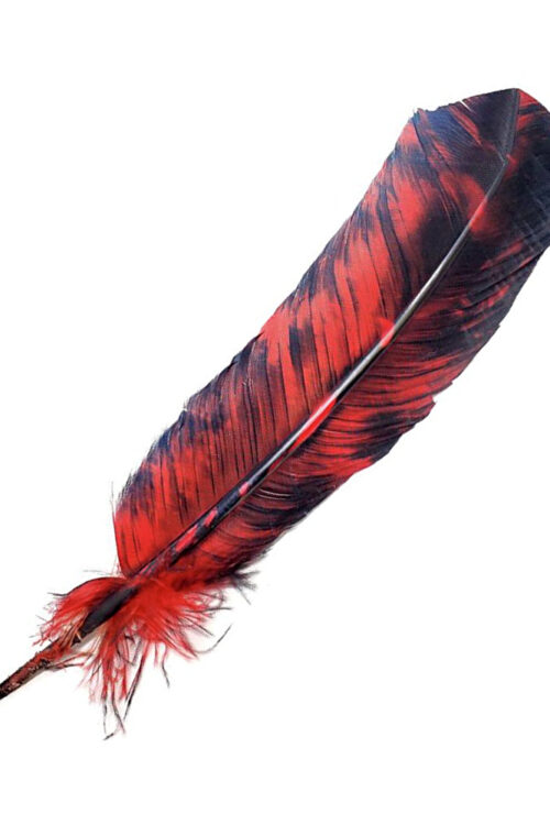 Smokey Red Feather 10-12″