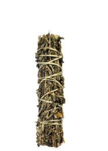 Black Sage Mugwort 3-4 Inch