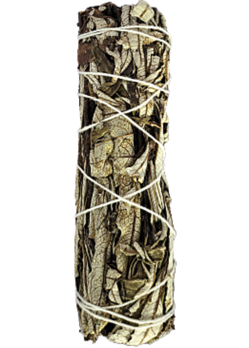 Yerba Santa Sage Smudge Sticks 5-6 inches