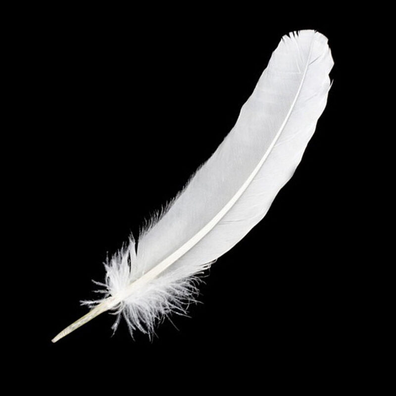 White Feather 12"