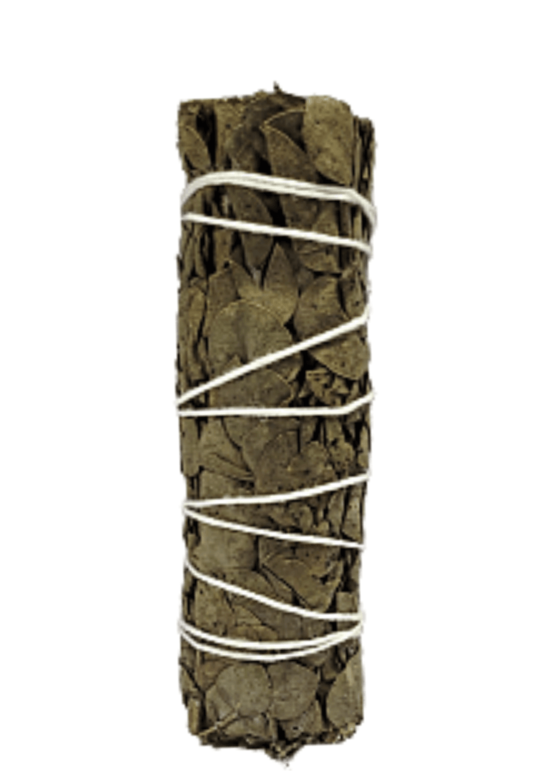 Eucalyptus Sage Smudge Stick